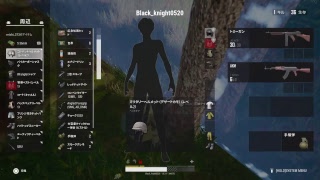 初めてのPubg                               マイクは人がきたら