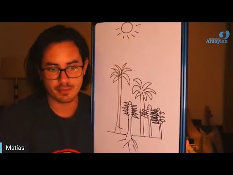 Day 345 BRANCHES - Matias De Stefano - English Edit