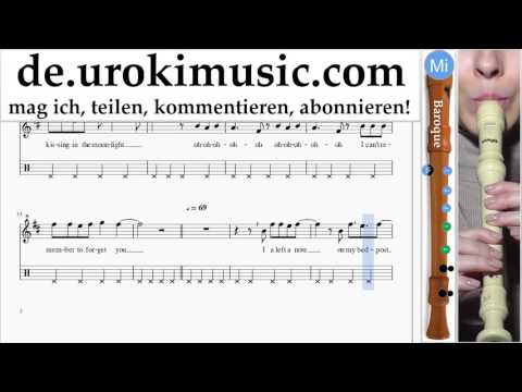 Blockflöte B. Lernen Shakira Can't Remember to Forget You Teil#2 Blockflötenunterricht Noten