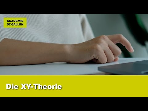 Die XY-Theorie