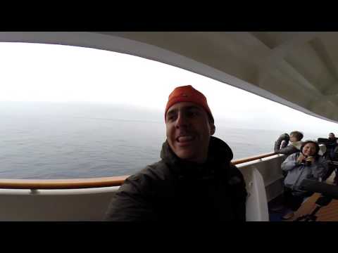 hawaiian petrel celebration