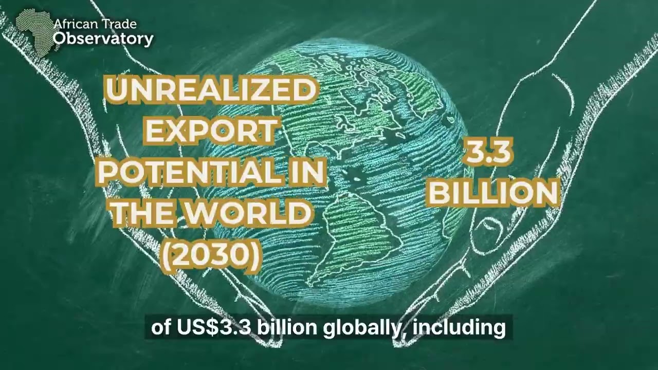 Africa’s wood sector carries out a powerful but still largely untapped opportunity!