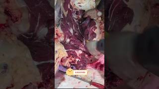 Download lagu ep 15k932 mp3 Download lagu ep 15k932 mp3