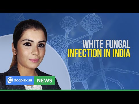 India Reports Cases of White Fungus, and More