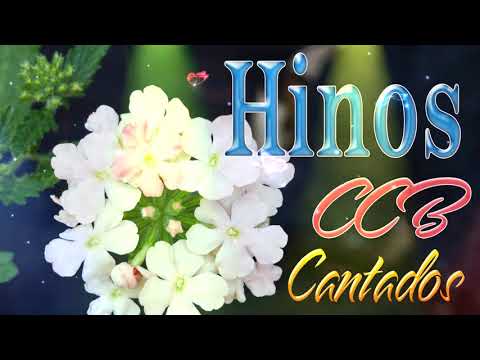 HINO CCB 2021 🌻 MELHORES HINOS CCB MAIS TOCADAS 🌻 PARA ORAÇÃO DO DIA