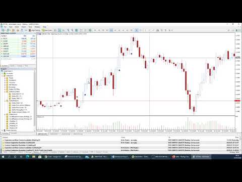 Video Gekko Strong Bars