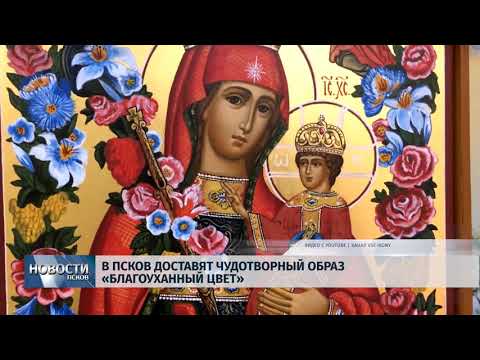 Новости Псков 11.11.2019 / В Псков доставят чудотворный образ «Благоуханный цвет» 
