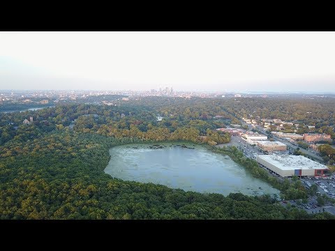Chestnut Hill and Asian Street Food Night Market