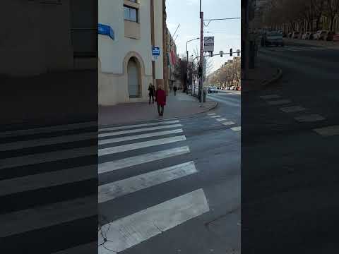 #GYALOGOS #ÁTKELŐHELY #TANULÓ #VEZETŐK