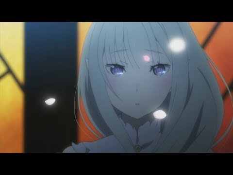 zamir - flowers in decay (w/ importmedia)