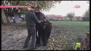 Rasta o snimanju spota &quot;Mrak&quot; i druženju sa medvedom, vukom i gavranom (Ami G Show S11)