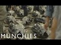 Appetite For Destruction Eating Bluefin Tuna Into Extinction