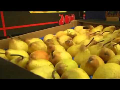 Contra la comida desechada