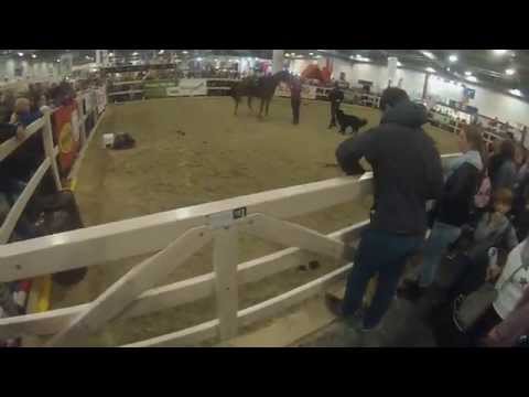 EQUITANA 2015 - Vanessa & Souverän