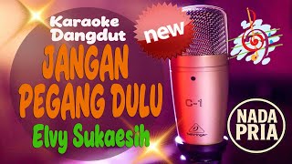 Download lagu Karaoke Jangan Pegang Dulu - Elvy Sukaesih (Pria) | ADEEVA MUSIC STUDIO mp3 Download lagu Karaoke Jangan Pegang Dulu - Elvy Sukaesih (Pria) | ADEEVA MUSIC STUDIO mp3