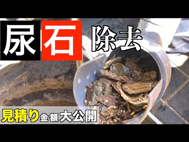 【尿石除去】尿石を砕きまくる凄いやつ！！！　尿石がきれいさっぱり剥がれます！【高圧洗浄】