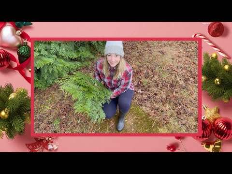 Happy Holidays from Nicolie Flower House