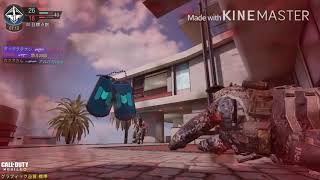 Call of duty mobile