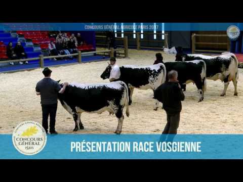 Voir la vidéo : Ring de présentation du 28 février 2017, partie 2