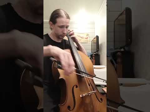 Self taught cellist 6 months progress, Bach Cello Suite no.1.