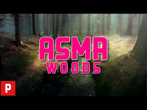 自然 気持ちが落ち着く森の音 ASMR woods sounds Video