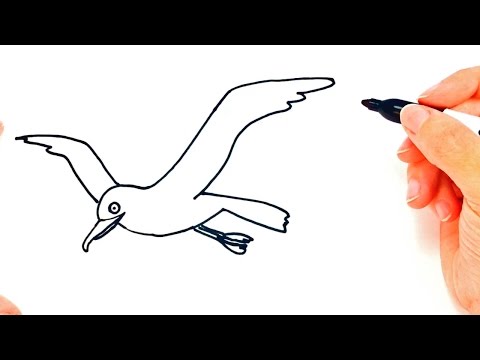 download lagu mp3 mp4 Seabird Drawing, download lagu Seabird Drawing gratis, unduh video klip Seabird Drawing