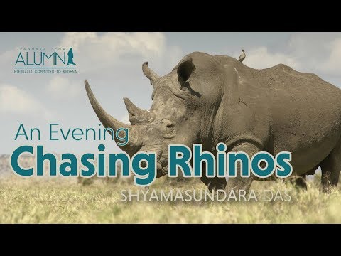 download lagu mp3 mp4 Chasing Rhinos With The Swami Pdf, download lagu Chasing Rhinos With The Swami Pdf gratis, unduh video klip Chasing Rhinos With The Swami Pdf