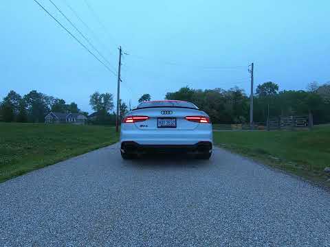 2019 Audi RS5 Launch with Bull-X Resonator Delete