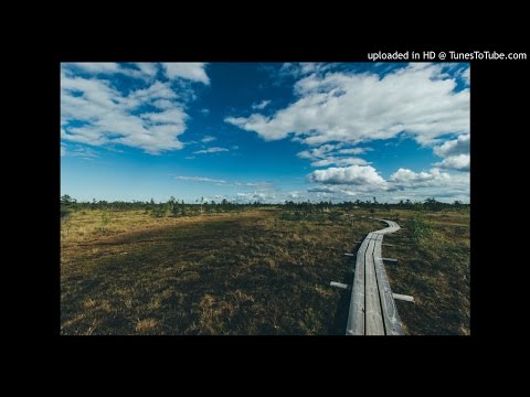 Audiowhores Ft. Stee Downes - Facts  (Original Vibe)