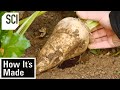 How It's Made: Beet Sugar