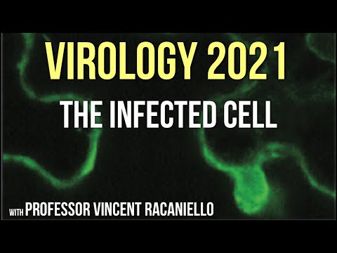 Virology Lectures 2021 #11 - The Infected Cell