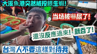 大溪魚港突然被投餵生蝦!被嚇慘了!還沒反應過來!就吞了!想後悔都來不及!