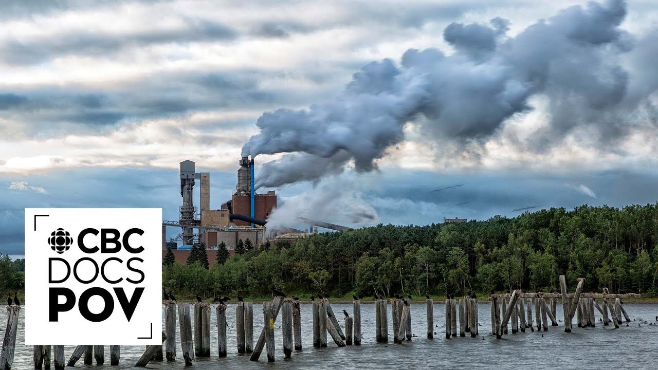 Industry vs. environment: a mill in Boat Harbour, Nova Scotia is to shut down | CBC Docs POV