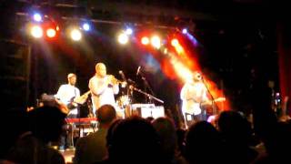 the bees - listening man