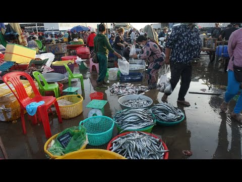 The Big Prek Phnov Site Selling Fish & SeaFood on Morning - Activities of Vendors Selling Fish