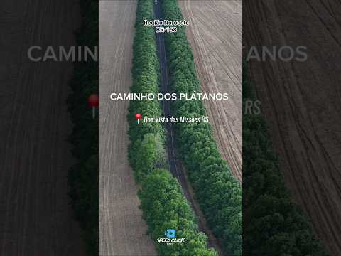 Caminho dos Plantanos na BR-158 na Região Noroeste #sul #regiaodasmissoes #saomigueldasmissoes #ijui