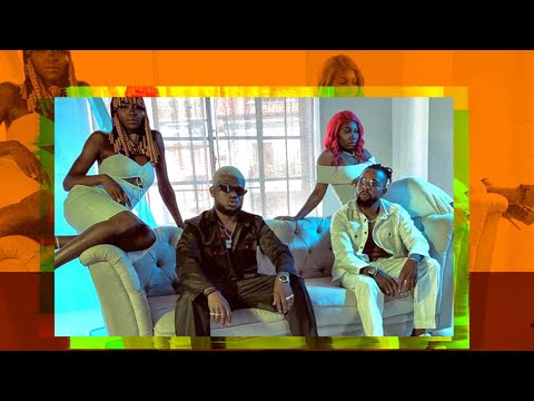 Two tigers_ Shakara (Official Video)