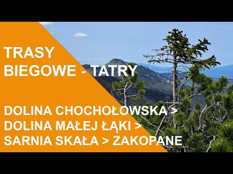 25 - Trasy biegowe: Tatry Górnym Reglem (Dolina Chochołowska - Zakopane)