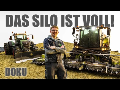Klaas amidst corn chopping, space problems in the silo, farm manager & teamwork 🌽 | Documentary