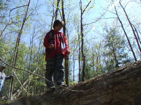 070512 - Returning to the Conservation Area for Another Year 7