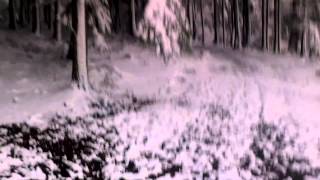 Bodie's favourite game