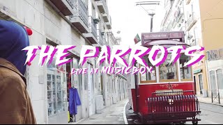 Liveurope . Chapter 2: The Parrots