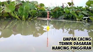 Download lagu MANCING DI RAWA PENING UMPAN CACING TEHNIK DASARANikan ini bisa dijadikan ikan hias mp3 Download lagu MANCING DI RAWA PENING UMPAN CACING TEHNIK DASARANikan ini bisa dijadikan ikan hias mp3