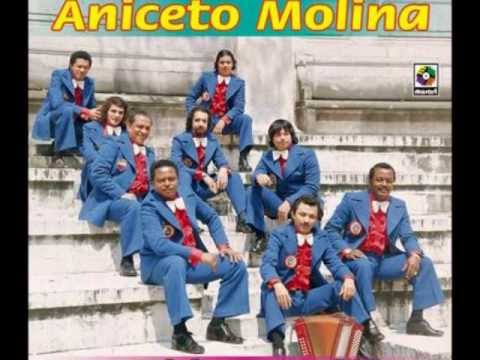 ANICETO MOLINA SOLO EXITOS