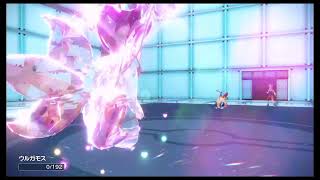 ショートポケモン枠