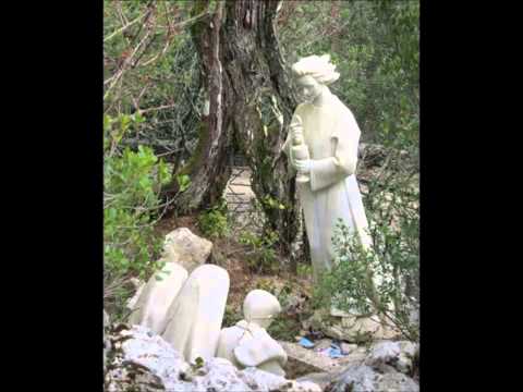 Living the Message of Fatima