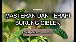 Download lagu MASTERAN DAN TERAPI CIBLEK, CIBLEK KRISTAL, DENGAN TERAPI AIR DAN JEDA, CEPAT GACOR....!!!!! mp3
