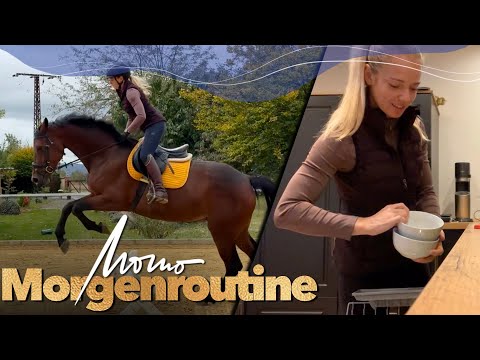 Meine Morgenroutine vorm Stall | Stute lernt fliegende Wechsel | Weekly Vlog #275