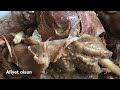 How To Cook Goose Meat At A Pressure Cooker