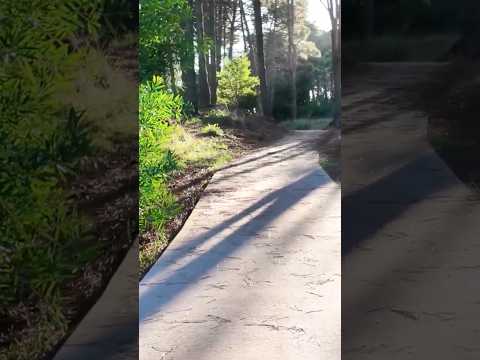 Hoy entramos al paseo de los pioneros en Pinamar!Mirá el video en el canal ! #pinamar #ciudadesvivas